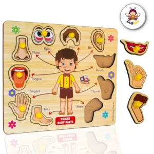 New Arrivals import placeholder for bsbedt1035 6